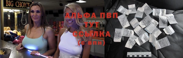индика Нефтегорск