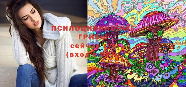 дурь Алзамай
