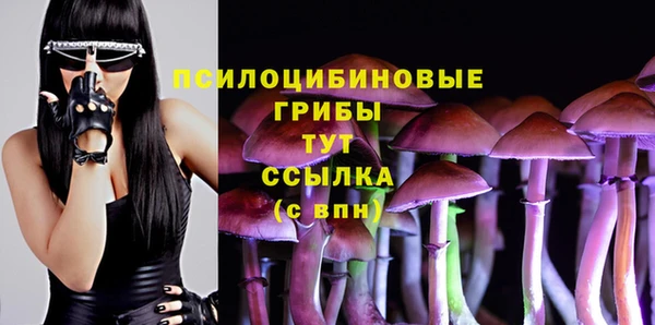 прущие крисы Абаза
